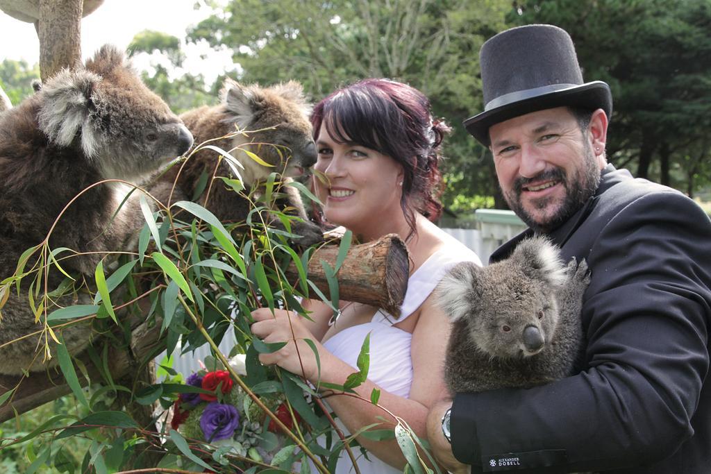 Fauna Australia Wildlife Retreat Lavers Hill エクステリア 写真