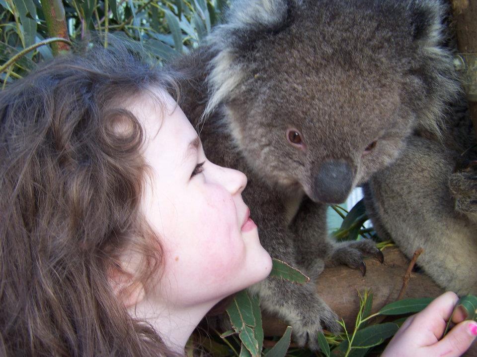 Fauna Australia Wildlife Retreat Lavers Hill エクステリア 写真