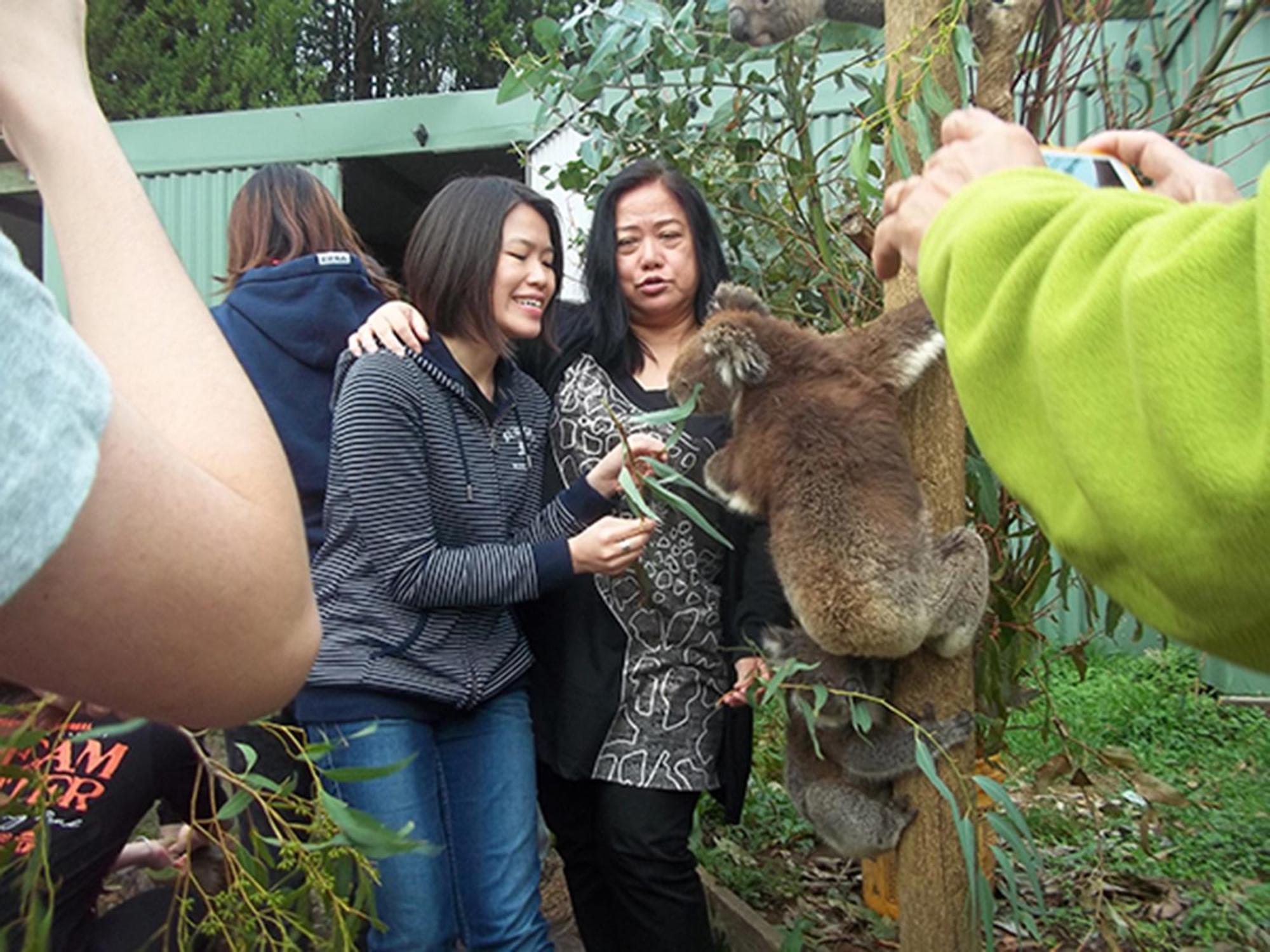 Fauna Australia Wildlife Retreat Lavers Hill エクステリア 写真
