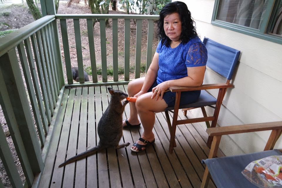 Fauna Australia Wildlife Retreat Lavers Hill エクステリア 写真