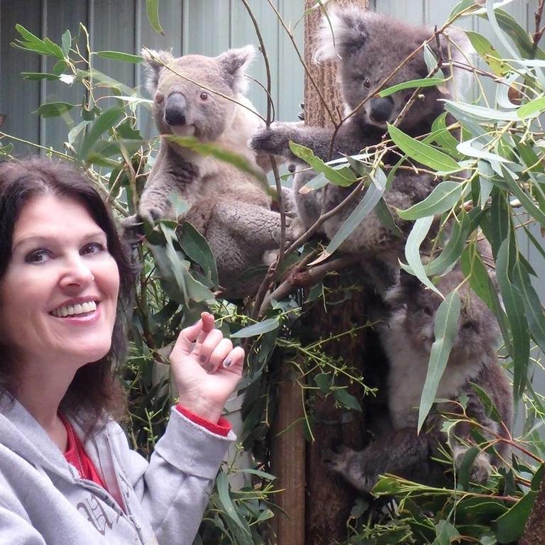 Fauna Australia Wildlife Retreat Lavers Hill エクステリア 写真